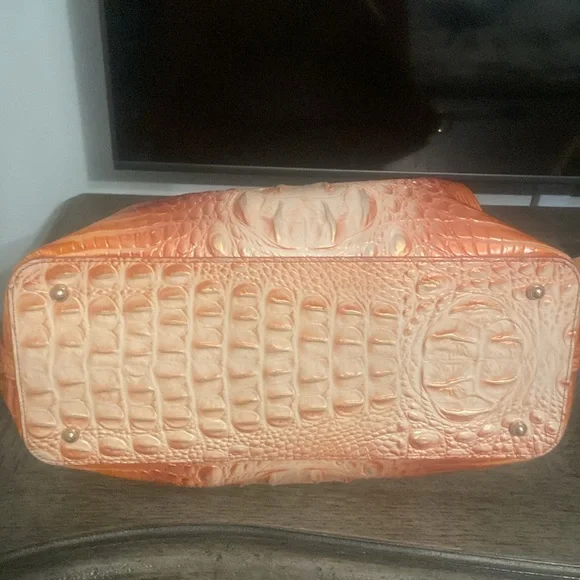 Woman’s Brahmin Authentic Bag - Picture 4 of 6